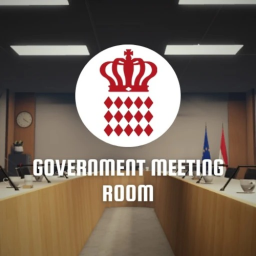 Government Meeting