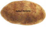 Hello my Derpy Potato Squad. Made by a Peanut.