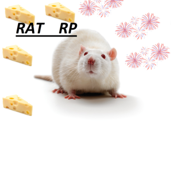 RAT RP
