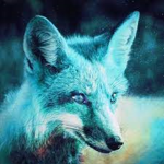 Great fox power