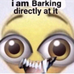 I am barking directly at it