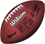 The NFL Fan Group
