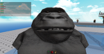 star warz is the best