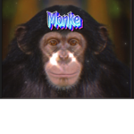 Monkey Mode Studios