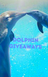 Dolphins giveaway group