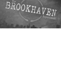 the BROOK-HAVEN experiment (demo) icon