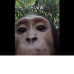 Epic Monkey