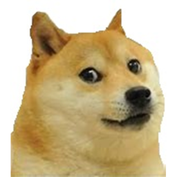 doge hq