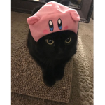 Softy’s aesthetic