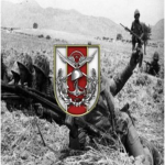 Turkish Armed Forces 1974s