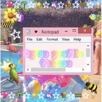 kyla’s profile themes <3