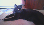 Kitty's clothing! :3