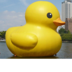 Ducky squad 2314