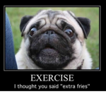pug fangroup