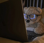 The lazy bears.
