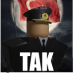 Sınır müffettişleri