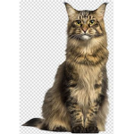 Cat Worship group