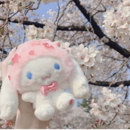 blossom xoxo homestore