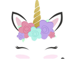 Unicorn fans group