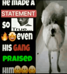 pl7tinum's group