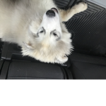 XanderDaKing37