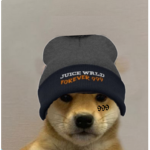 Doggo Skate Cult