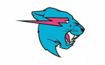 Mr Beast fan Gruppe