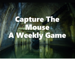 The Weekly Mouse with a Flag