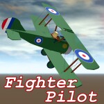 Fighter Pilot
