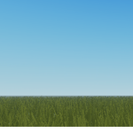 Grassy field fans