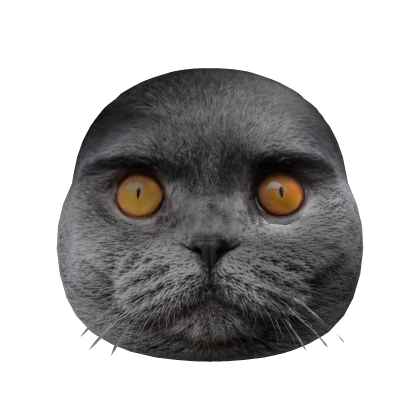 Folk Cat