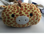 CUTE GIRAFFE STUDIO