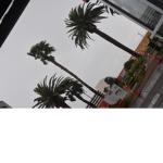 briannalovescocoa