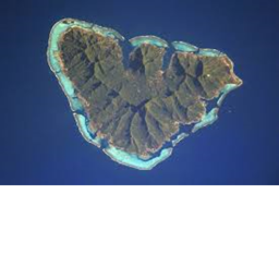 Sienna Island Field Lab