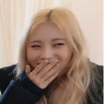 Stan kpop you dumb