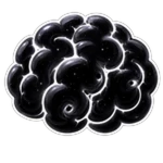 Void Brain Roblox gamepass thumbnail