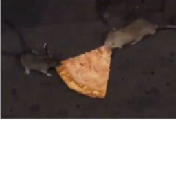 Pizza Escape