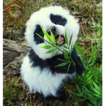 My pandas are my ride or rides <3