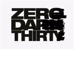 Zero Dark Thirty