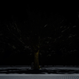 Dark Forest