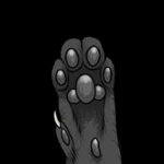 PawPal Official Group