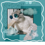 Cats United {Official}
