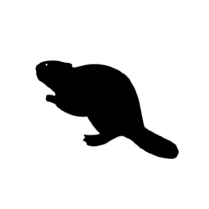 Bobrsoft Roblox group icon