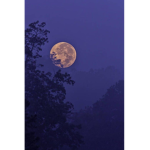 Moon-crystal