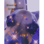 sisvslilbro