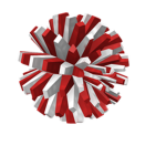 The PomPoms