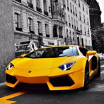 Fast Car Gang