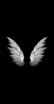 Clube Pegasus