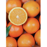 ~orange family ~!
