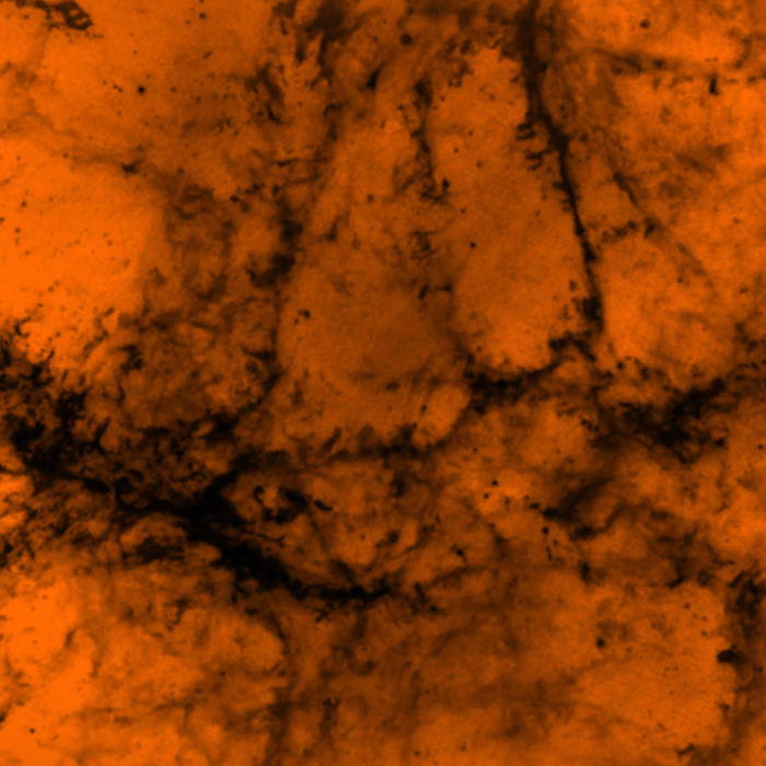 Orange Black Marble Background